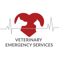 emergency veterinary service