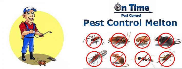 pest control hoppers crossing